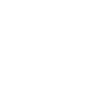 Merit Winner 2018